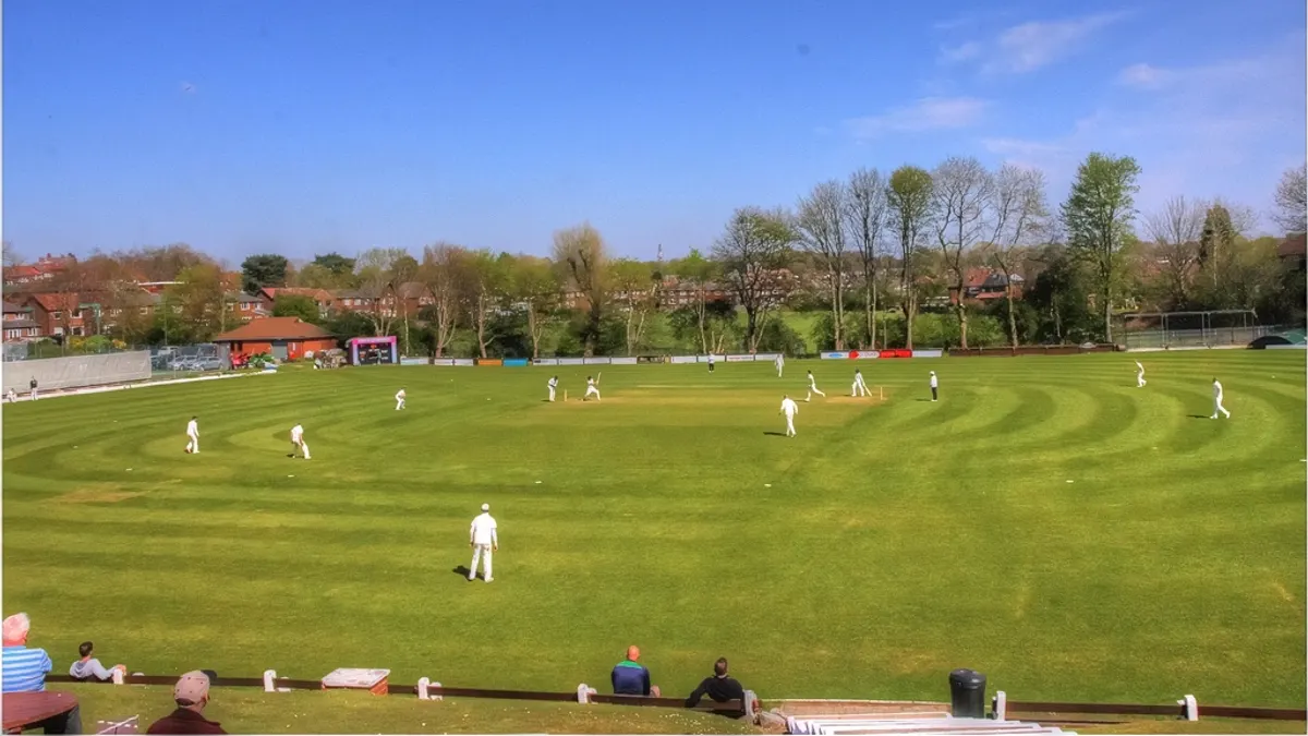 Cricket match, sport club game